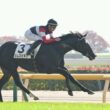 3.9億円の怪物覚醒！ダノンヒストリーが2.3秒差圧勝…菊花賞候補に急浮上！