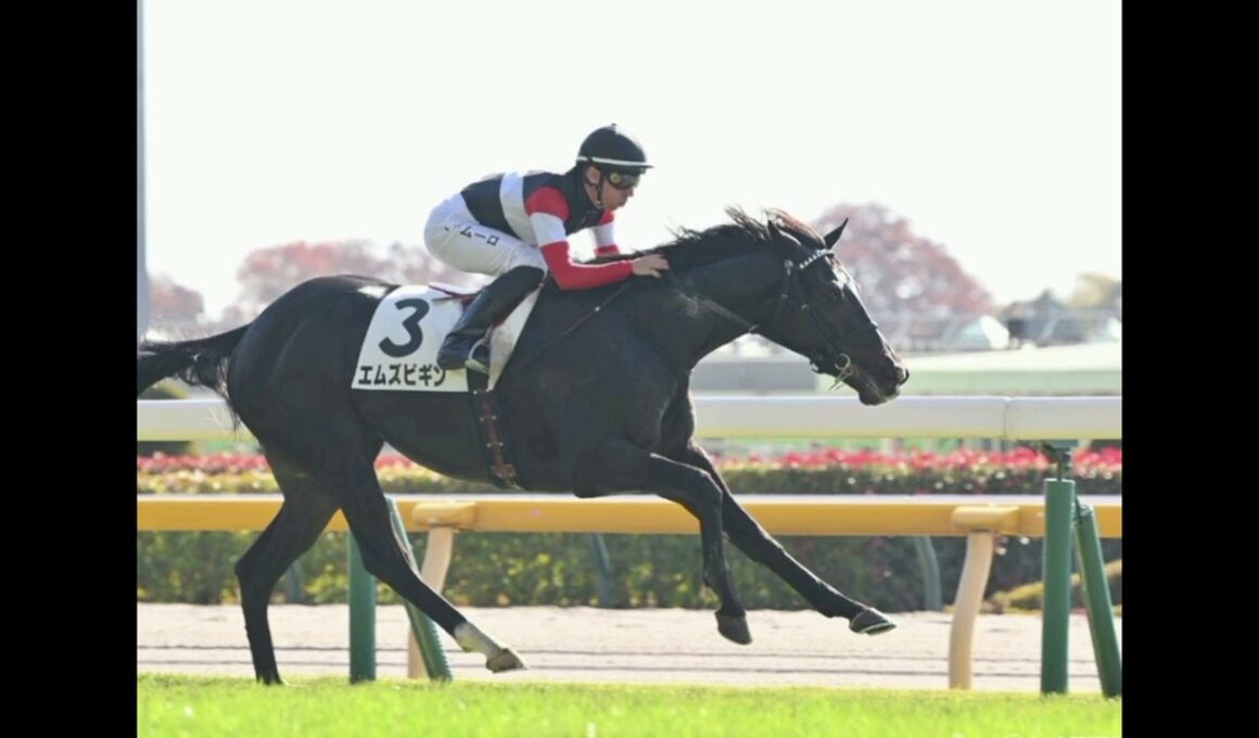 3.9億円の怪物覚醒！ダノンヒストリーが2.3秒差圧勝…菊花賞候補に急浮上！