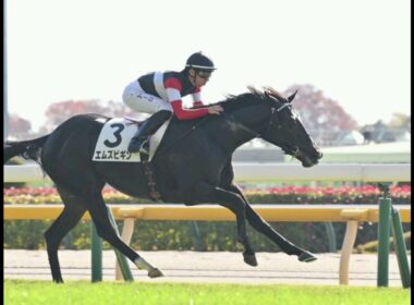 3.9億円の怪物覚醒！ダノンヒストリーが2.3秒差圧勝…菊花賞候補に急浮上！