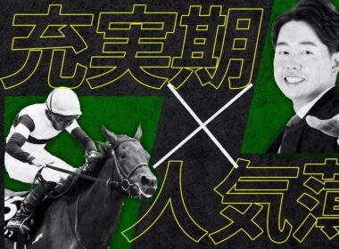 【マイルチャンピオンシップ 2025】豪華メンバーを馬体診断！ジャンタルマンタル、ソウルラッシュを破るなら充実の勢い＆適性面で推せるこの馬！【競馬予想】