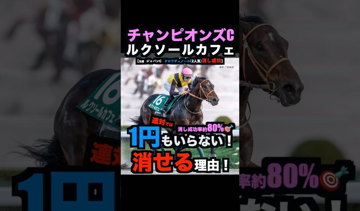 【チャンピオンズC2025】1円もいらない！ルクソールカフェを連対で消せる理由！#チャンピオンズカップ2025 #チャンピオンズカップ #ルクソールカフェ #競馬予想 #競馬予想tv #shorts