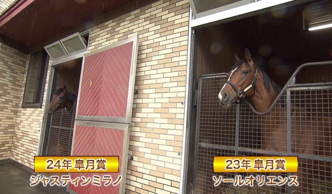 【ジャスティンミラノ＆ソールオリエンス】皐月賞馬２頭が登場！牧場見学のいろは！
