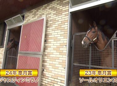 【ジャスティンミラノ＆ソールオリエンス】皐月賞馬２頭が登場！牧場見学のいろは！