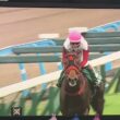 【競馬実況動画2026】第61回テレビ西日本賞北九州記念 フリッカージャブ（松山弘平）
