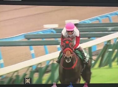 【競馬実況動画2026】第61回テレビ西日本賞北九州記念 フリッカージャブ（松山弘平）