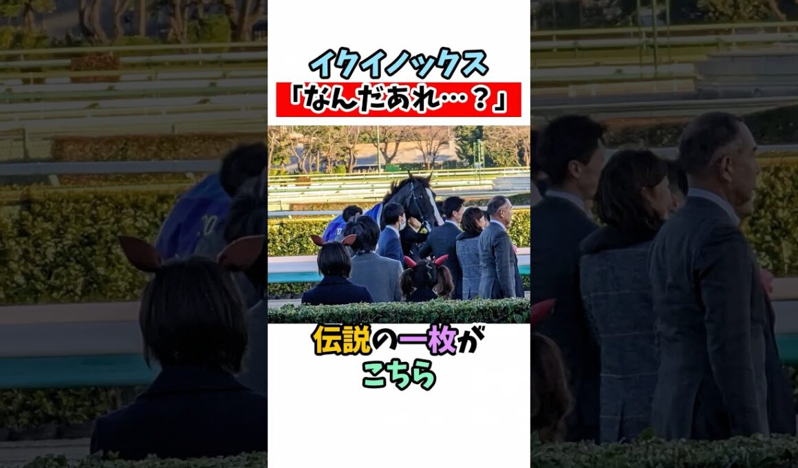 イクイノックス「なんだあれ…？」伝説の一枚がこちら #競馬#horse