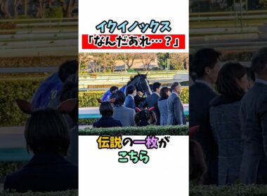イクイノックス「なんだあれ…？」伝説の一枚がこちら #競馬#horse