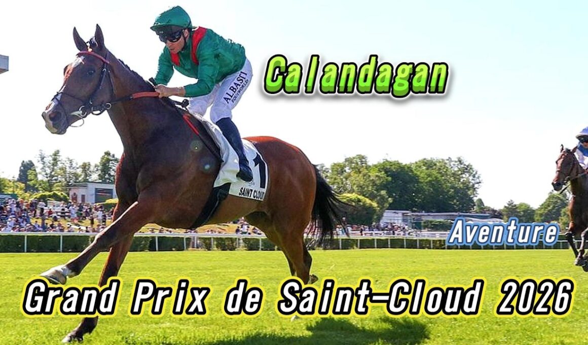 サンクルー大賞2026ライブ カランダガン出走予定 昨年ジャパンカップ王者 & 芝2400m最強騙馬が同レース連覇へ挑む