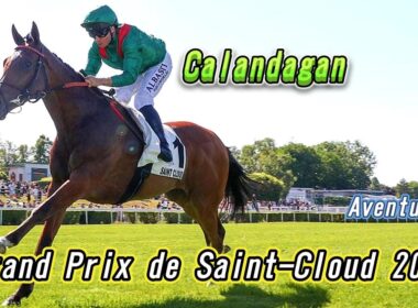 サンクルー大賞2026ライブ カランダガン出走予定 昨年ジャパンカップ王者 & 芝2400m最強騙馬が同レース連覇へ挑む