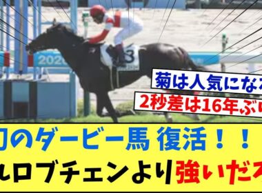 【競馬】「幻のダービー馬ダノンヒストリー復活！これロブチェンより強いだろ？」に対する競馬に役立つまとめ