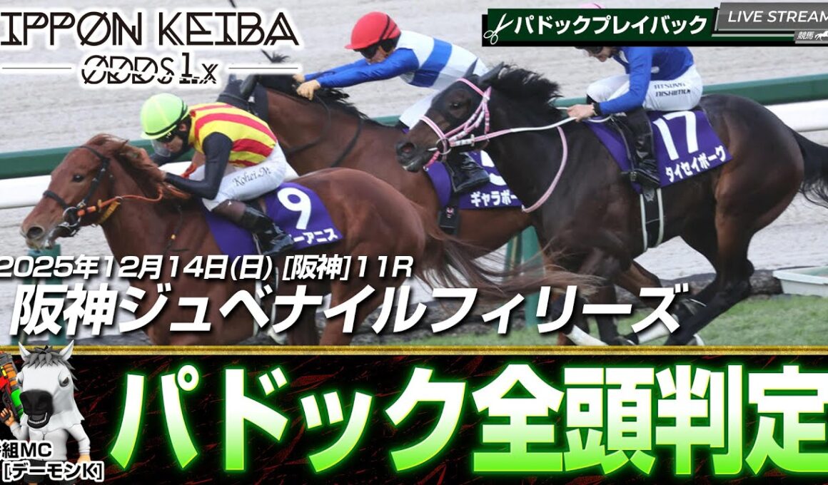 【パドック検証】2025年阪神ジュベナイルフィリーズ[GI] 全頭パドック診断“歩様と気配”から解剖する！【IPPON競馬】