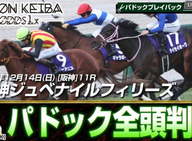 【パドック検証】2025年阪神ジュベナイルフィリーズ[GI] 全頭パドック診断“歩様と気配”から解剖する！【IPPON競馬】