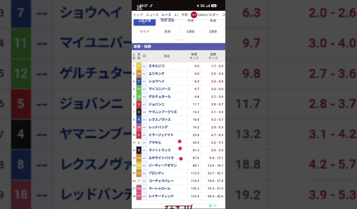 #菊花賞 #競馬#オートレース #競艇 #オッズを読み解いて当てる