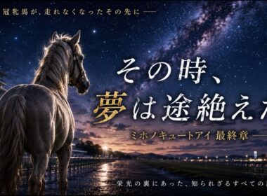 【DiR.55】物語【ミホノキュートアイ】