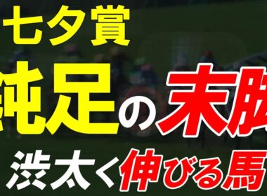 七夕賞2026全頭診断｜主役は勝負どころで動けるのか 福島芝2000mで景色が変わる全22頭徹底考察【七夕賞予想】