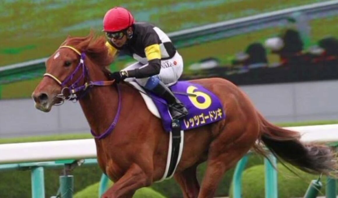 レッツゴードンキの娘がついにデビュー！🏇✨ 母譲りの衝撃スピードは受け継がれたのか？