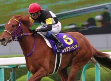 レッツゴードンキの娘がついにデビュー！🏇✨ 母譲りの衝撃スピードは受け継がれたのか？