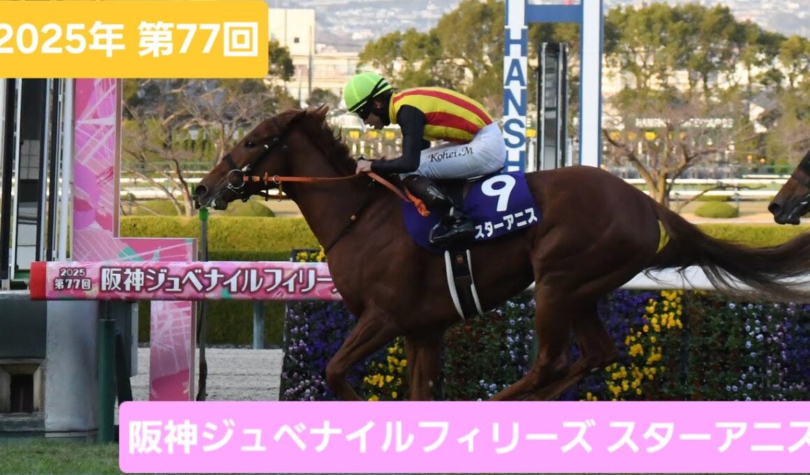 【現地映像】2025年第77回阪神ジュベナイルフィリーズ優勝馬スターアニス号