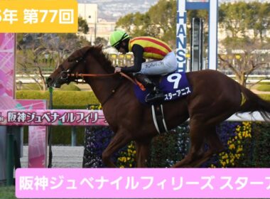 【現地映像】2025年第77回阪神ジュベナイルフィリーズ優勝馬スターアニス号