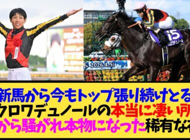 【朗報】クロワデュノール、2歳から春古馬2冠まで期待を裏切らなかった稀有な馬だった←これ【競馬】
