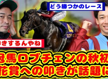 【競馬】2冠馬ロブチェン 秋は菊花賞前に叩きでトライアルレース出走が話題に！！【競馬反応集】