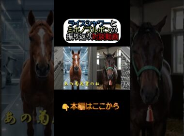 ミホノブルボンとライスシャワーが菊花賞振り返り対談をしてみた件 #ミホノブルボン #ライスシャワー #菊花賞 #競馬 #ウマ娘