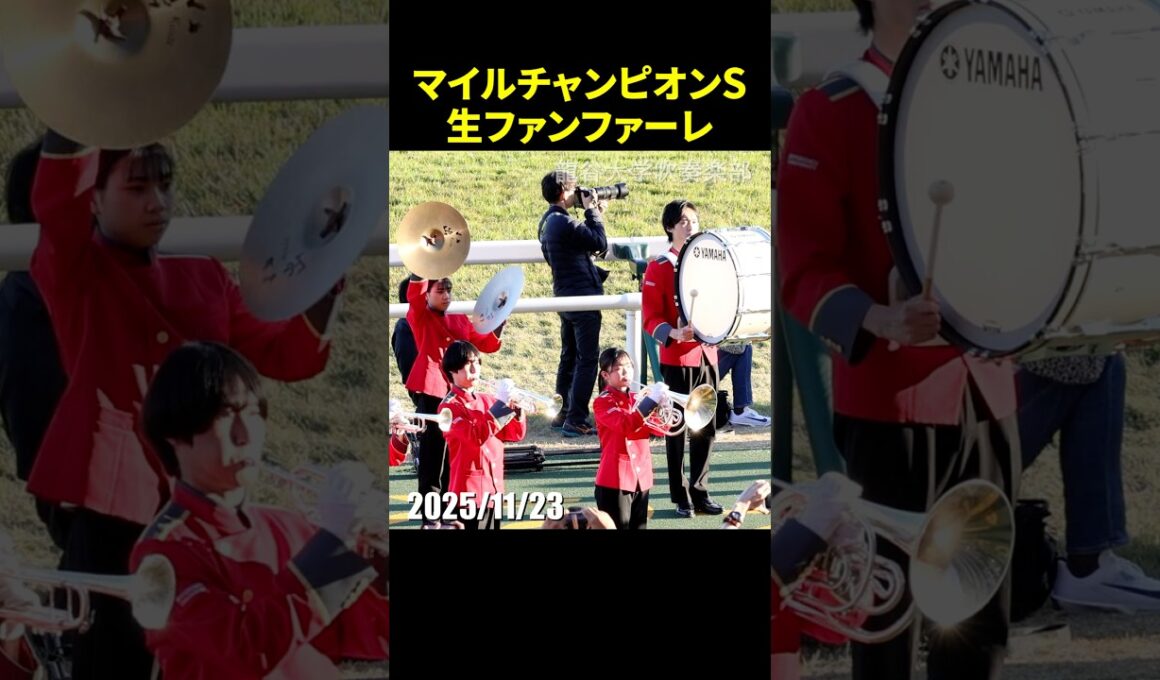 2025年第42回マイルチャンピオンシップのG1生ファンファーレ演奏 #ファンファーレ #マイルCS #現地映像 #競馬 #shorts