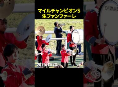 2025年第42回マイルチャンピオンシップのG1生ファンファーレ演奏 #ファンファーレ #マイルCS #現地映像 #競馬 #shorts