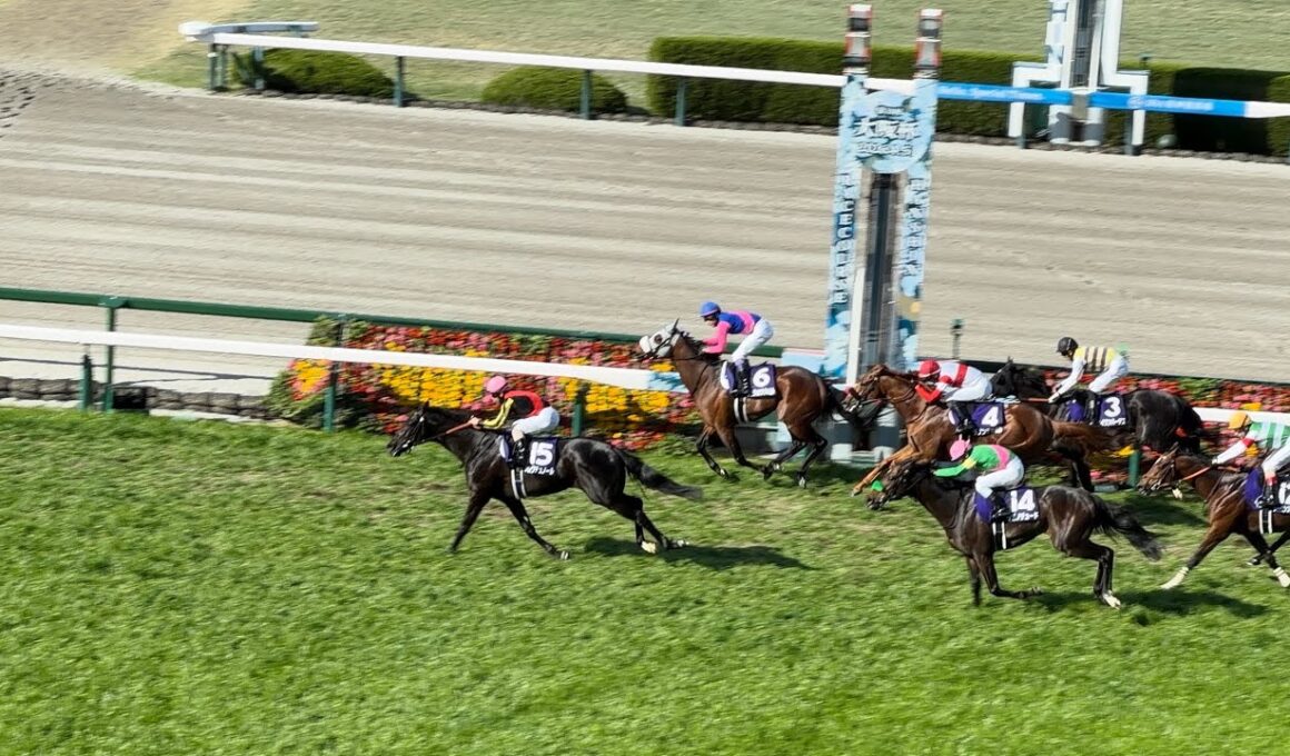 【ダービー馬】2026年 大阪杯 クロワデュノール 北村友一 現地映像 ファンファーレ〜ウイニングラン