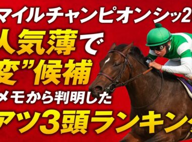GⅠマイルチャンピオンシップ2025🔥 人気薄で“一変”候補は誰？記者メモから判明した激アツ3頭ランキング!