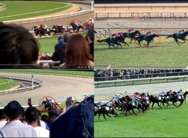 春のクラシック二冠馬 ロブチェンの軌跡 ホープフルステークス～共同通信杯（2着）～皐月賞～日本ダービー