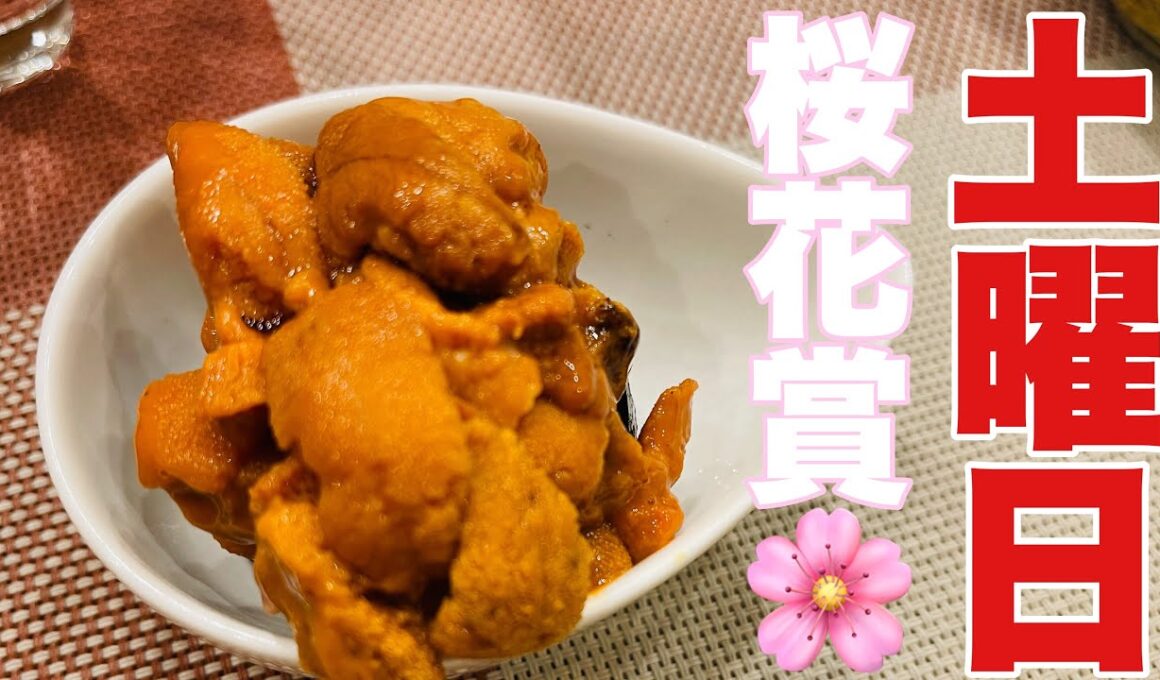 【土曜日】デブの晩酌【桜花賞🌸】