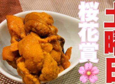 【土曜日】デブの晩酌【桜花賞🌸】