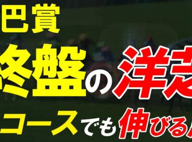 巴賞2026全頭診断｜Bコース替わりで景色は変わる 函館開催終盤に最後まで競馬を続けられる馬はどれか【巴賞週中予想】