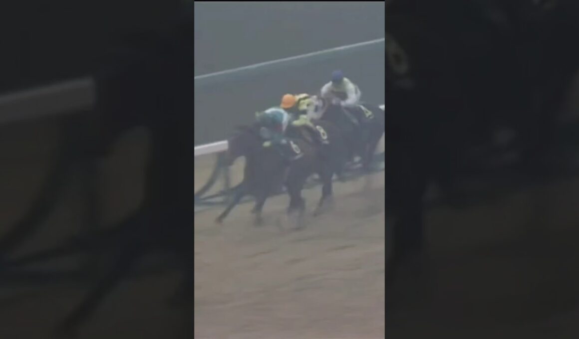 #shorts 1985 有馬記念 #シンボリルドルフ #岡部幸雄