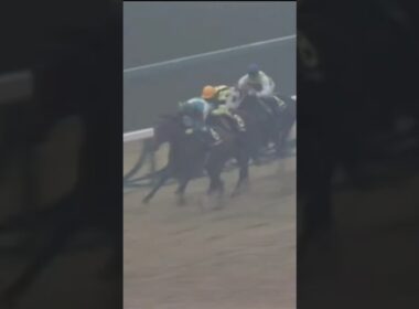 #shorts 1985 有馬記念 #シンボリルドルフ #岡部幸雄