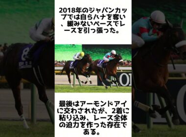 泥を切り裂いた菊花賞馬！キセキの雑学5選 #1分雑学 #競馬 #shorts #1分雑学 #キセキ