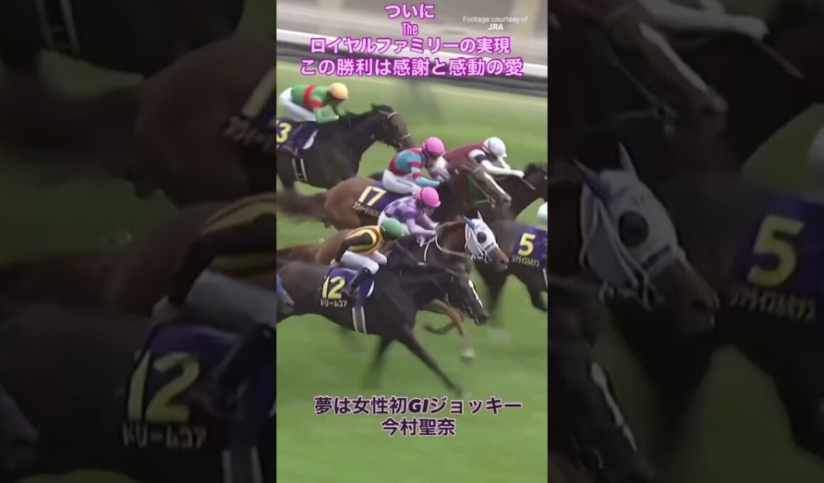 THE SEINA FAMILY 次走は秋華賞#jra #今村聖奈 #競馬#おすすめ #youtube #horse #shorts