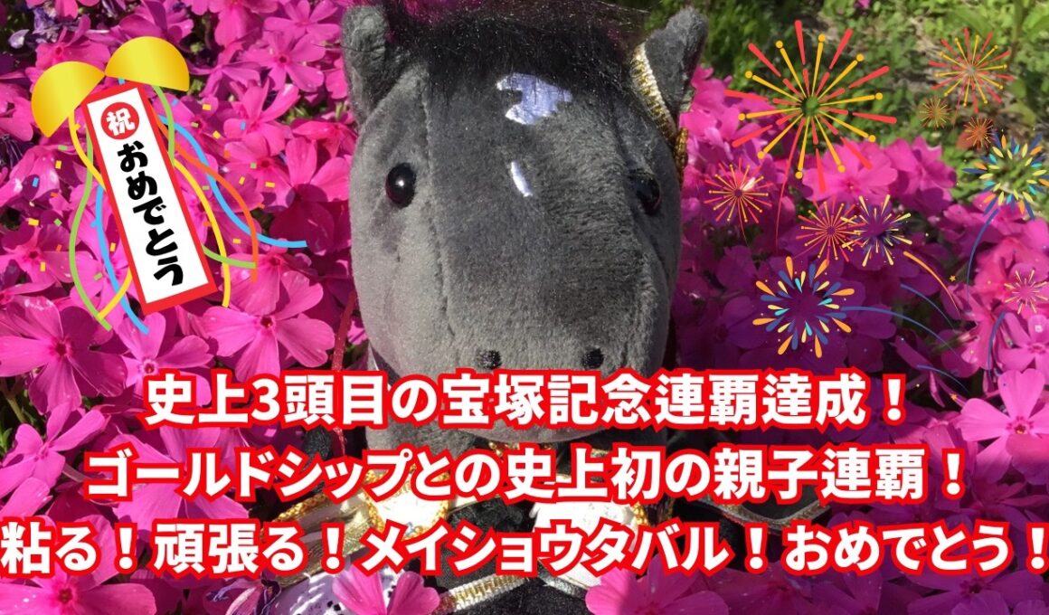 史上3頭目の宝塚記念連覇達成！ゴールドシップとの史上初の親子連覇！粘る！頑張る！メイショウタバル！おめでとう！松本オーナーが降らせてくれたのかな…#競馬初心者 #ウマ娘 #武豊騎手#レジェンド