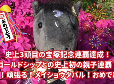 史上3頭目の宝塚記念連覇達成！ゴールドシップとの史上初の親子連覇！粘る！頑張る！メイショウタバル！おめでとう！松本オーナーが降らせてくれたのかな…#競馬初心者 #ウマ娘 #武豊騎手#レジェンド