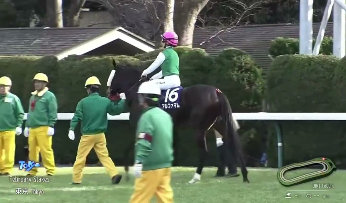 2024年 第41回 フェブラリーステークス(G1)(ペプチドナイル、藤岡佑介)