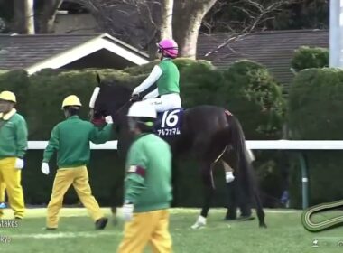 2024年 第41回 フェブラリーステークス(G1)(ペプチドナイル、藤岡佑介)