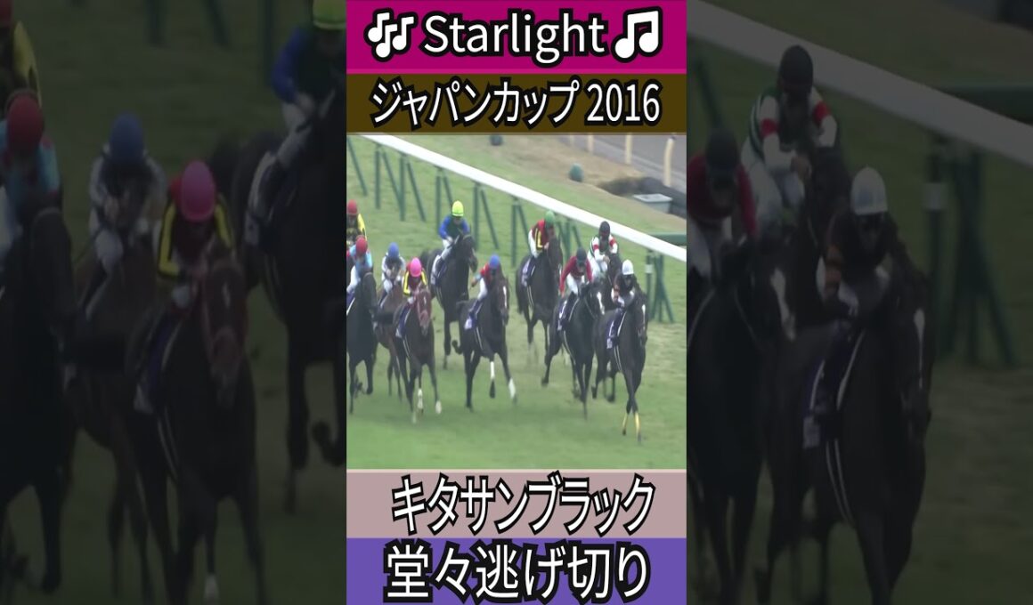 堂々逃げ切り 【ジャパンカップ 2016】キタサンブラック #ジャパンカップ #キタサンブラック #武豊