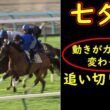 七夕賞2026追い切り診断｜評価はこの動きで変わる 全頭診断から景色を動かした22頭を徹底考察【GⅢ】