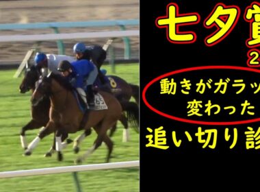 七夕賞2026追い切り診断｜評価はこの動きで変わる 全頭診断から景色を動かした22頭を徹底考察【GⅢ】