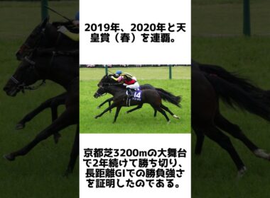 少数精鋭の長距離王！フィエールマンの雑学5選 #1分雑学 #競馬 #shorts #馬 #フィエールマン