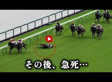 【宝塚記念】マイユニバース急死…最後の直線で異変、競走中止後に急性心不全と判明