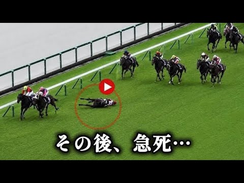 【宝塚記念】マイユニバース急死…最後の直線で異変、競走中止後に急性心不全と判明