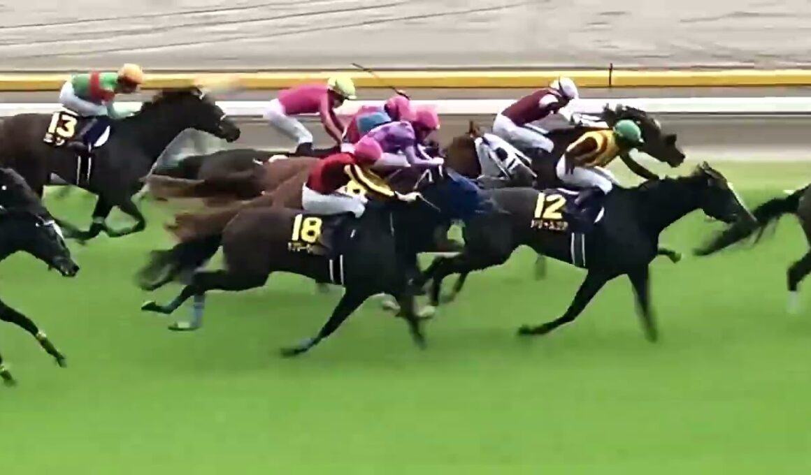 東京競馬場五週連続GⅠ 28秒x5ダイジェスト ①NHKマイルカップ～②ヴィクトリアマイル～③オークス～④日本ダービー（48秒）～➄安田記念 2026年5-6月
