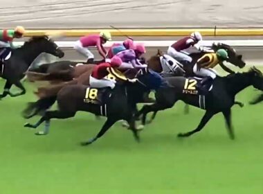 東京競馬場五週連続GⅠ 28秒x5ダイジェスト ①NHKマイルカップ～②ヴィクトリアマイル～③オークス～④日本ダービー（48秒）～➄安田記念 2026年5-6月